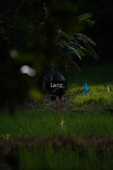 Runner Photo 2434916