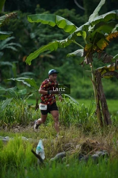 Runner Photo 2434961