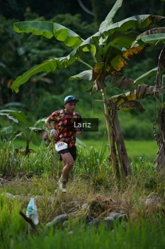 Runner Photo 2434982