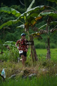Runner Photo 2435021