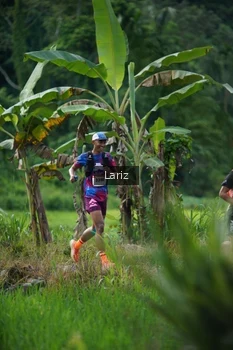 Runner Photo 2435057