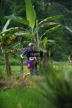 Runner Photo 2435080