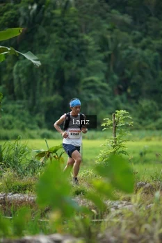 Runner Photo 2435197