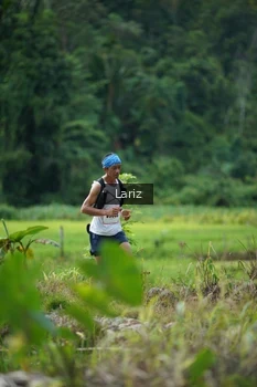 Runner Photo 2435280
