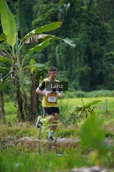 Runner Photo 2435303