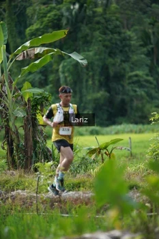 Runner Photo 2435310