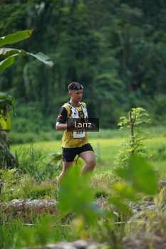 Runner Photo 2435324