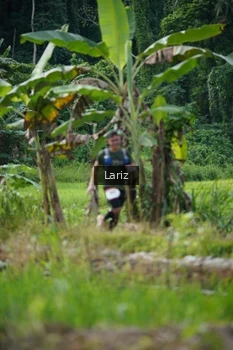 Runner Photo 2435334