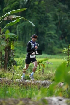 Runner Photo 2435611