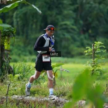 Runner Photo 2435632