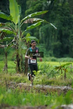 Runner Photo 2435689
