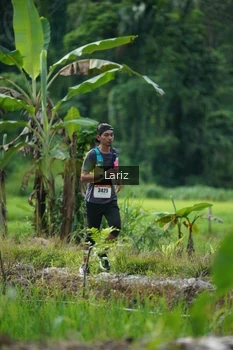 Runner Photo 2435700