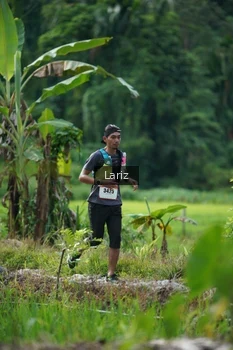 Runner Photo 2435731