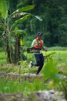 Runner Photo 2435756