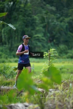 Runner Photo 2435780