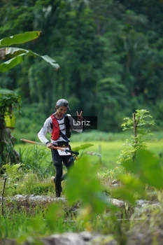 Runner Photo 2435847