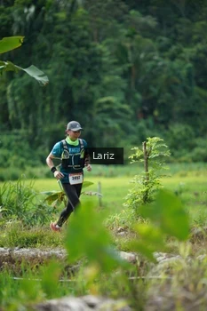 Runner Photo 2435926