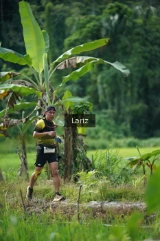 Runner Photo 2435944