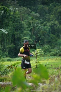 Runner Photo 2435994
