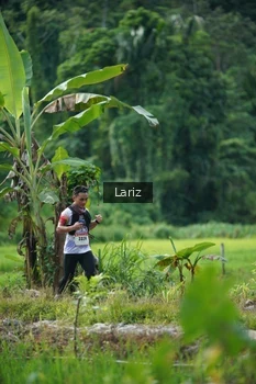 Runner Photo 2436055
