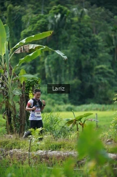 Runner Photo 2436066
