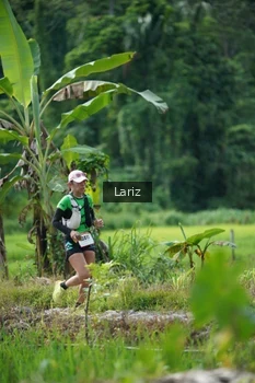 Runner Photo 2436109