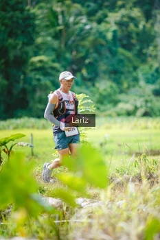 Runner Photo 2436182