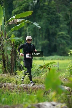 Runner Photo 2436233