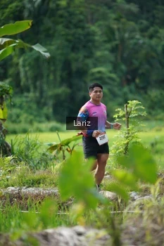 Runner Photo 2436263