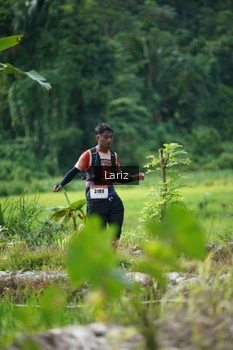 Runner Photo 2436343