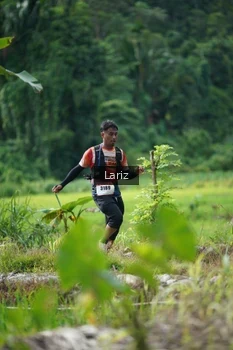 Runner Photo 2436358