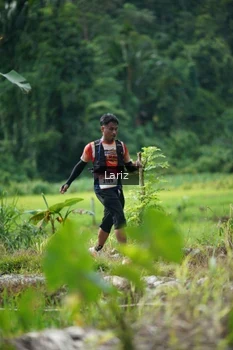 Runner Photo 2436364