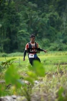 Runner Photo 2436378