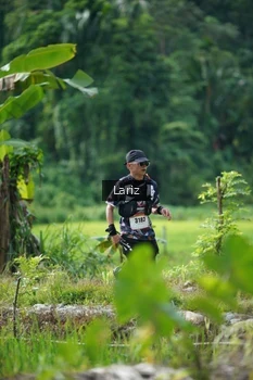 Runner Photo 2436500
