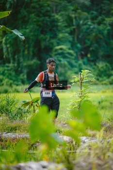 Runner Photo 2436590