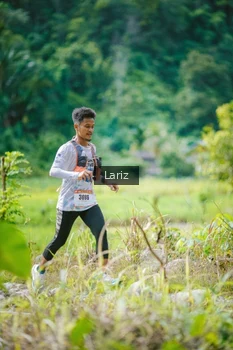 Runner Photo 2436654