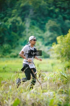 Runner Photo 2436662
