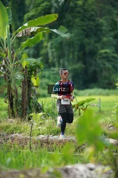 Runner Photo 2436836