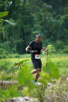 Runner Photo 2436863