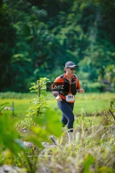 Runner Photo 2436884