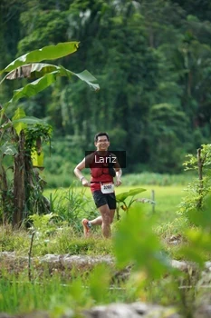 Runner Photo 2436954