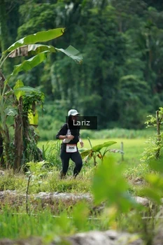 Runner Photo 2437017