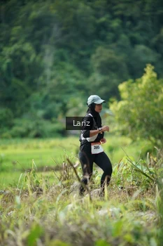 Runner Photo 2437036