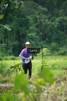 Runner Photo 2437075