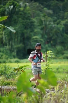 Runner Photo 2437109