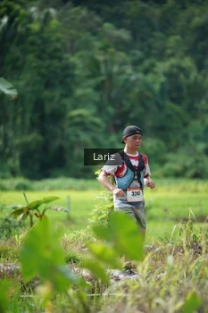 Runner Photo 2437132