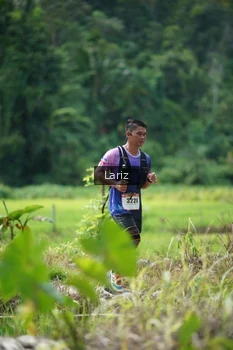 Runner Photo 2437161