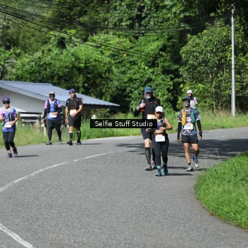 Runner Photo 2437334