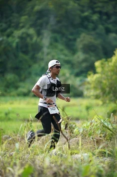 Runner Photo 2437397