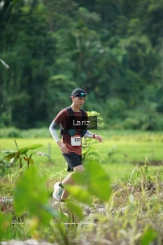 Runner Photo 2437458
